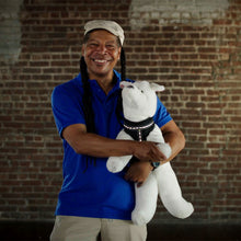 Load image into Gallery viewer, DC'S REMOTE CONTROL LED PET HARNESS
